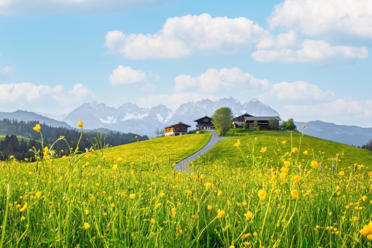 Mountain Vista - Bio Yoga Hof Apartment Kitzbuhel Bagian luar foto