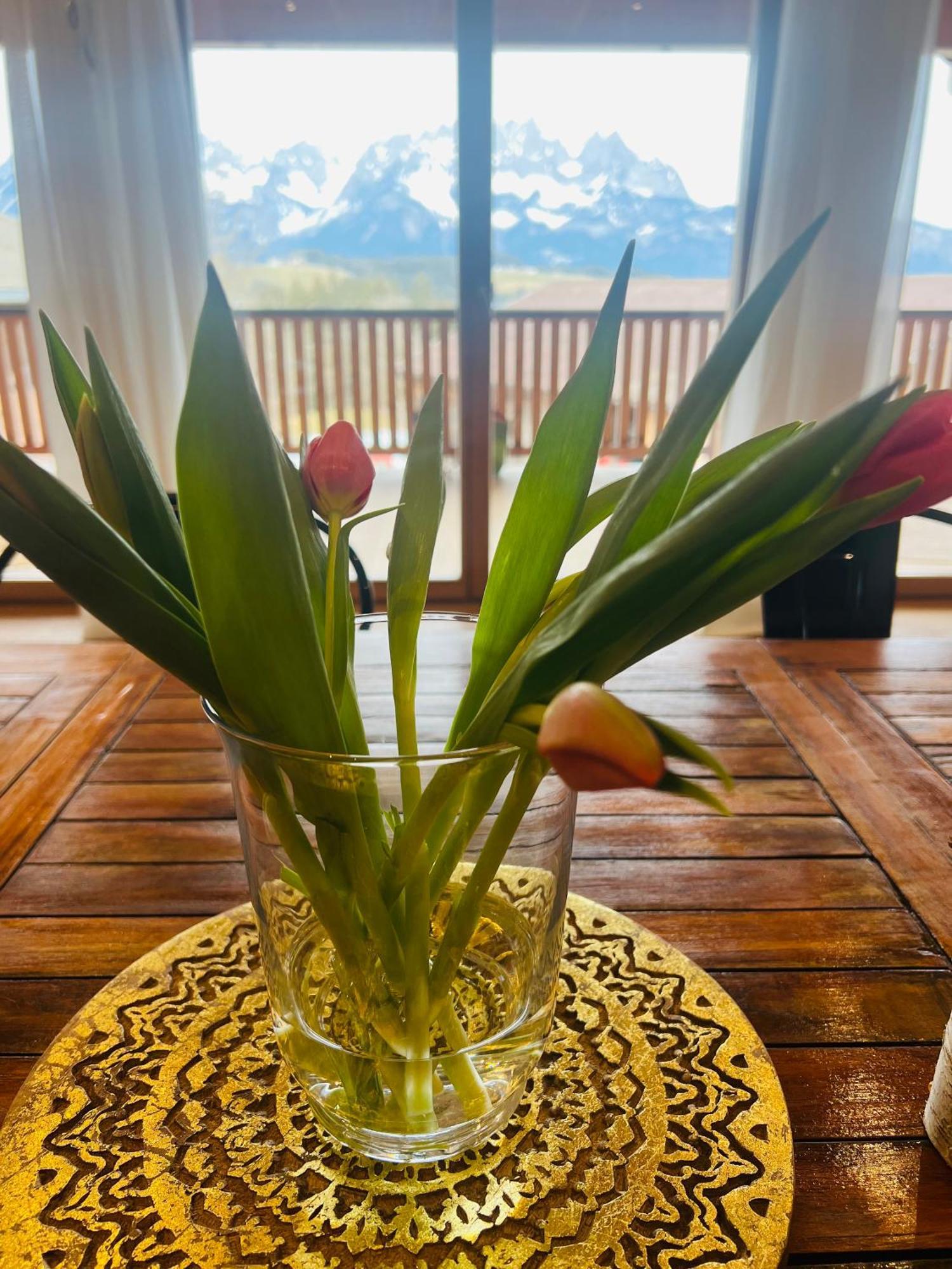Mountain Vista - Bio Yoga Hof Apartment Kitzbuhel Bagian luar foto